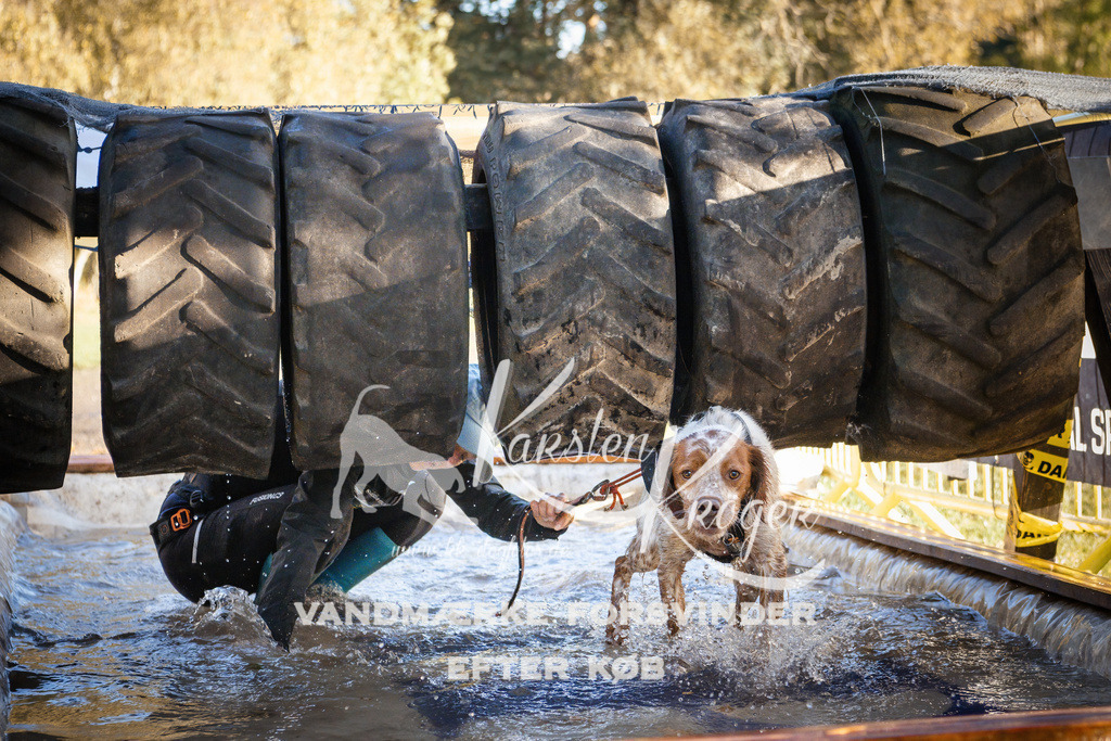 0915_ZZ90355 | kk-dogfotos