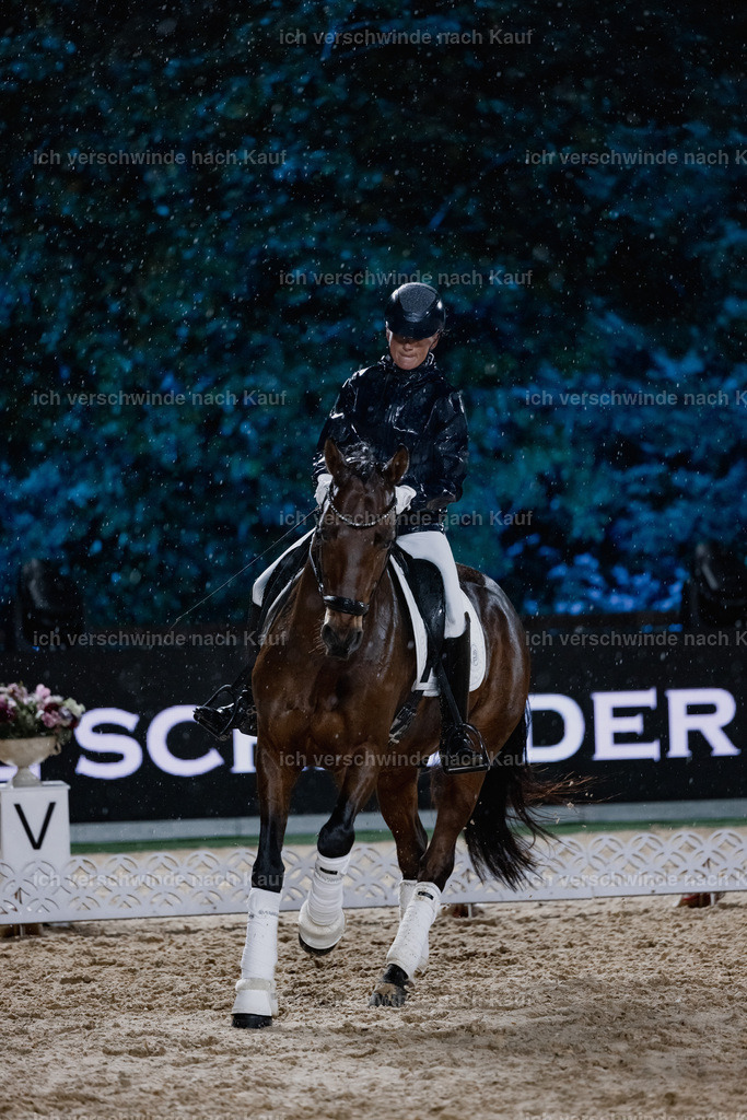 FHClassics-88 | working equitationturnier fotograf videograf stoibphotography marixx film working equitation deutschland reitsport turnierfotografie eventfotografie equestrian events