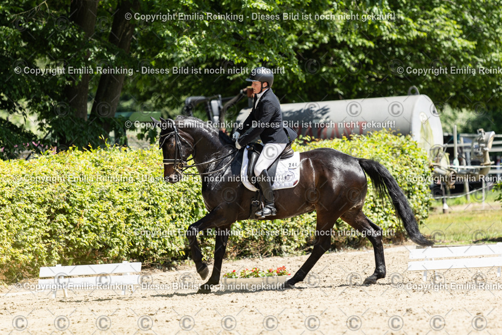 CL5A9260 | Emilia Reinking Fotografie - Realisiert mit Pictrs.com