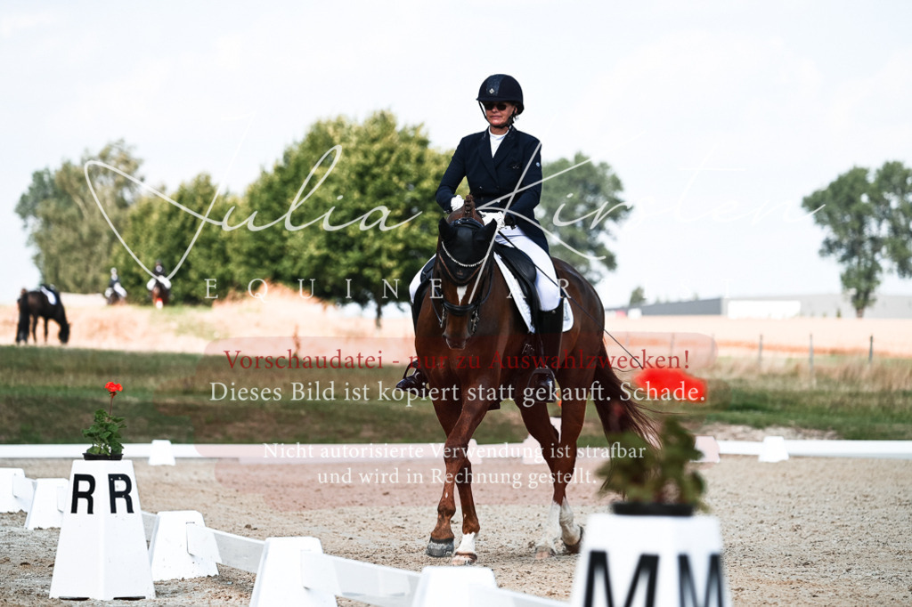DSC_3197 | Pferde- und Turnierfotografie in Westsachsen. Pferdeportraits, Auftragszeichnungen und intuitive Kunst.