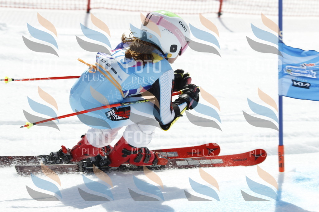 _U3G1609 | holidayphoto