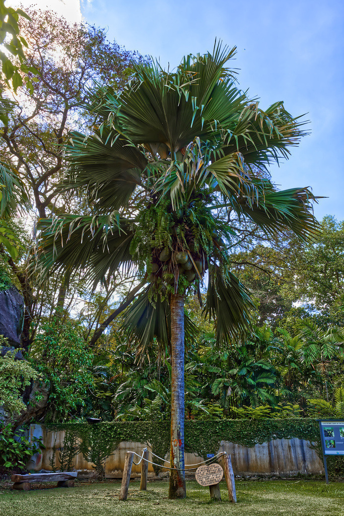 1H5A1369 | ansichtssache