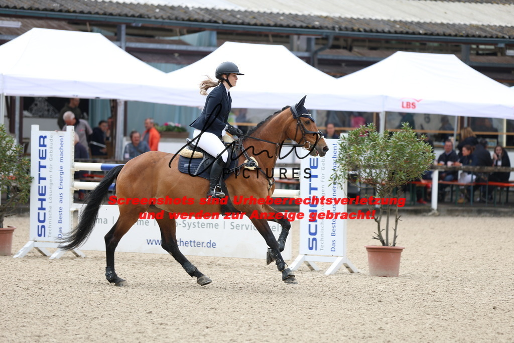 A40A1156 | lmwpictures - Realisiert mit Pictrs.com