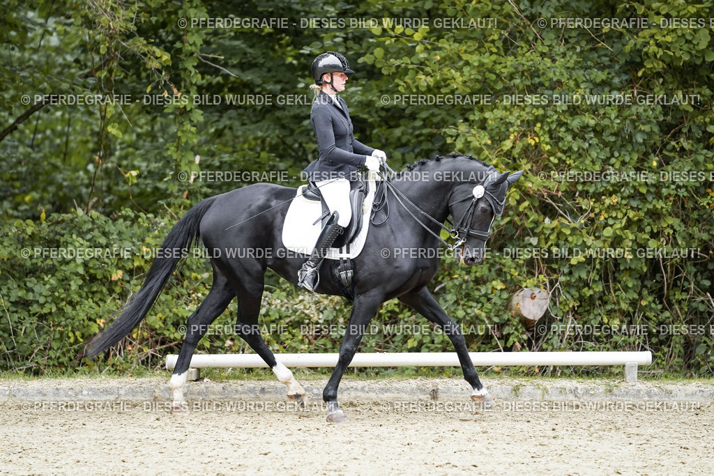 DSC02282 | Pferdegrafie