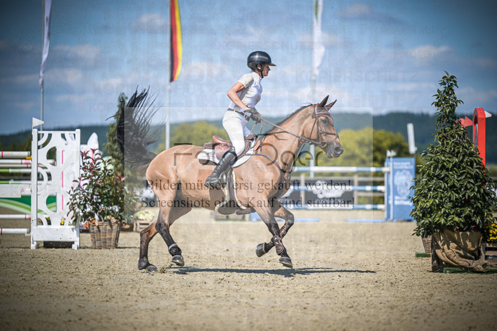 DOS_4537 | Entdecke hochwertige Reitturnierfotos von Foto Oger. Professionell, emotional und authentisch – jetzt Lieblingsmomente im Shop bestellen.Deutschlandweite Turnierfotografie. - Realisiert mit Pictrs.com