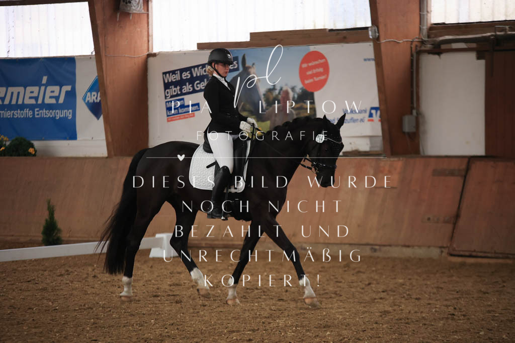 IMGT6970 | pl-fotografie