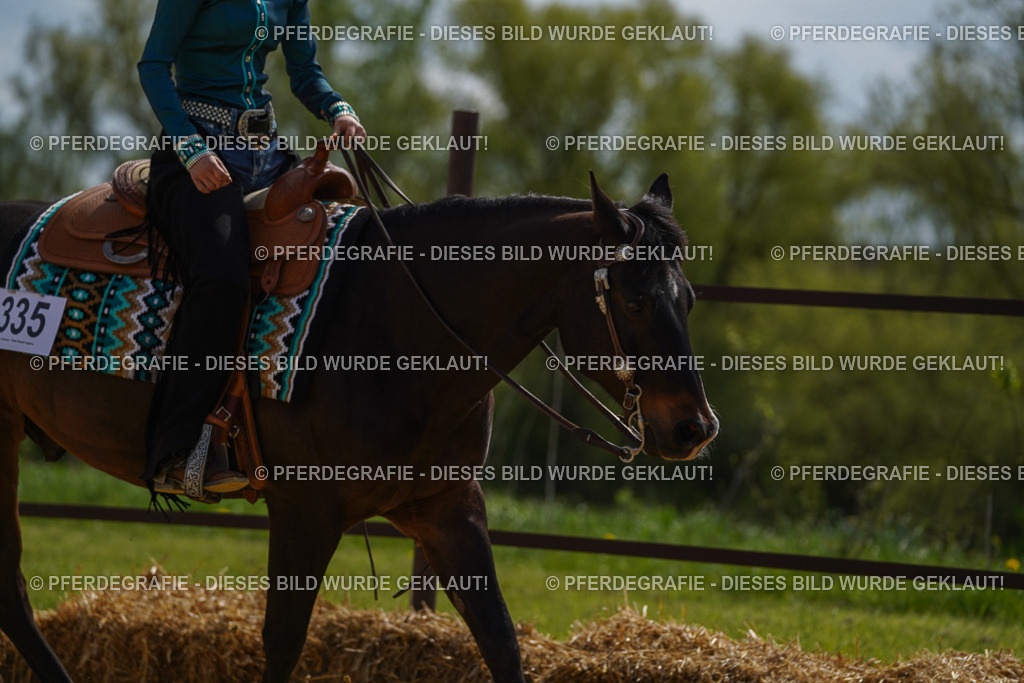 DSC04284 | Pferdegrafie