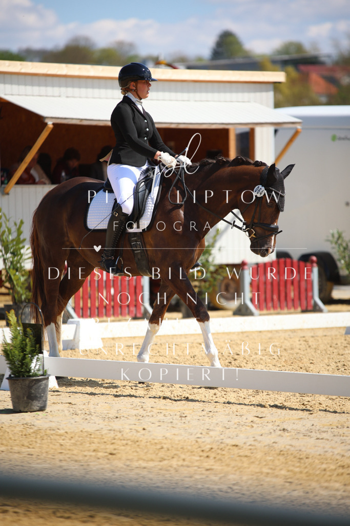 IMGT2569 | pl-fotografie