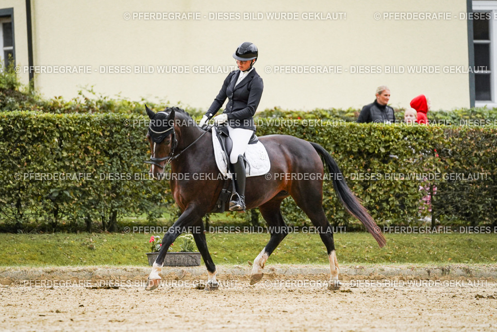 DSC06677 | Pferdegrafie