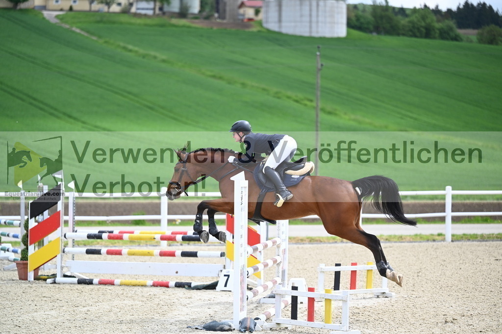 DSC_0648 | equestrian-live-com