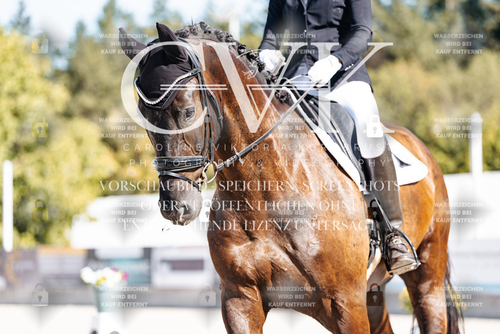 CK908586 | Turnierfotografie Pferdefotografie Trier Rheinland-Pfalz Pferdesport Reitsport Tierfotografie Sportfotografie Pferdevideo Pferdevideografie Equestrianvideography equestrianphotography  - Realisiert mit Pictrs.com