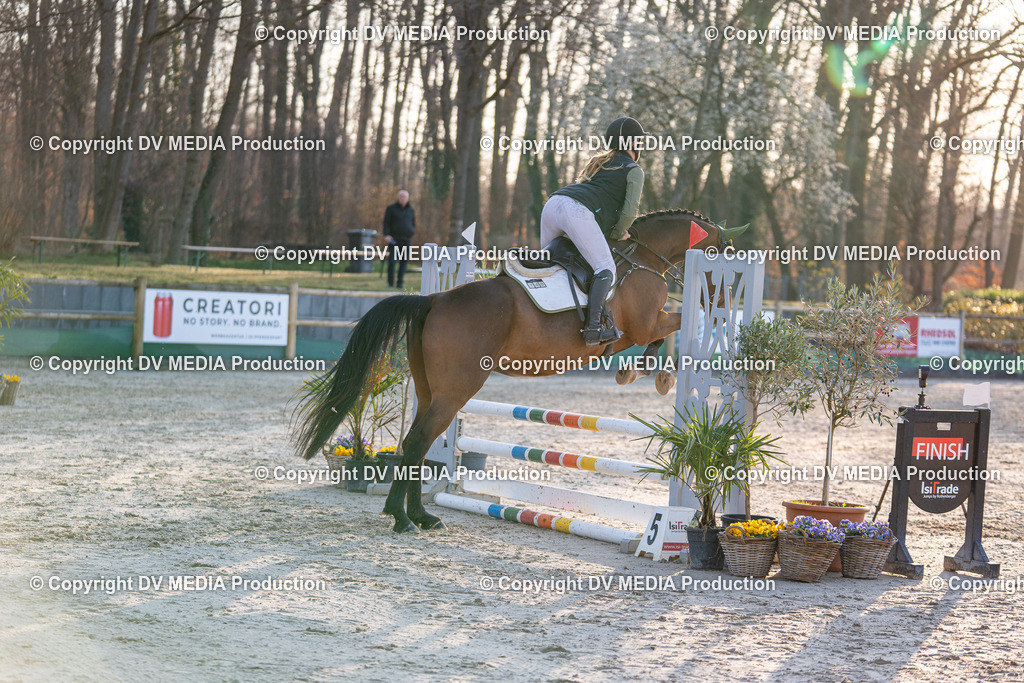 DSC-226 | dv-media-shop - Realisiert mit Pictrs.com