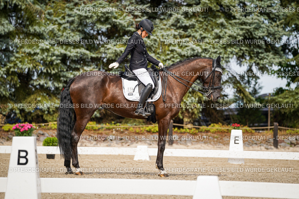 DSC06281 | Pferdegrafie