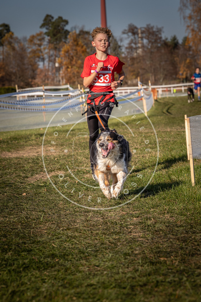 CaniXpix_0L8A7404 | Hundefotografie, Tierfotograf, Pfotenfotografie, Fotoshooting Hund, Hunde Portrait, Hundesport, Hundeportraits, Heideshooting, Hunde, Sportfotograf, Hundefotograf, Turnierhundsport, THS,  - Realisiert mit Pictrs.com