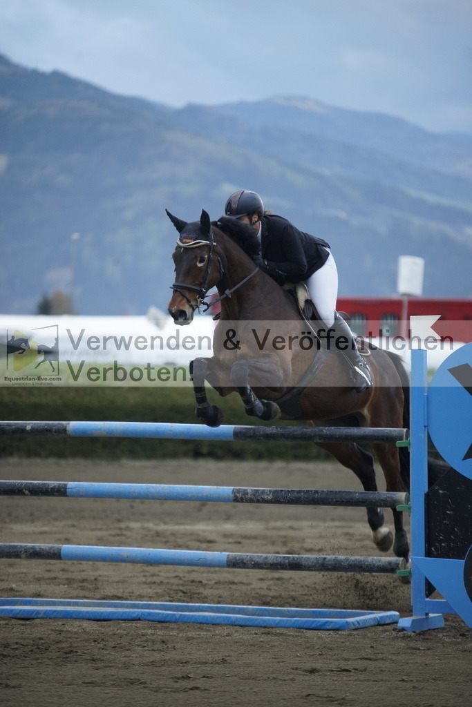 _DSC8297 | equestrian-live-com