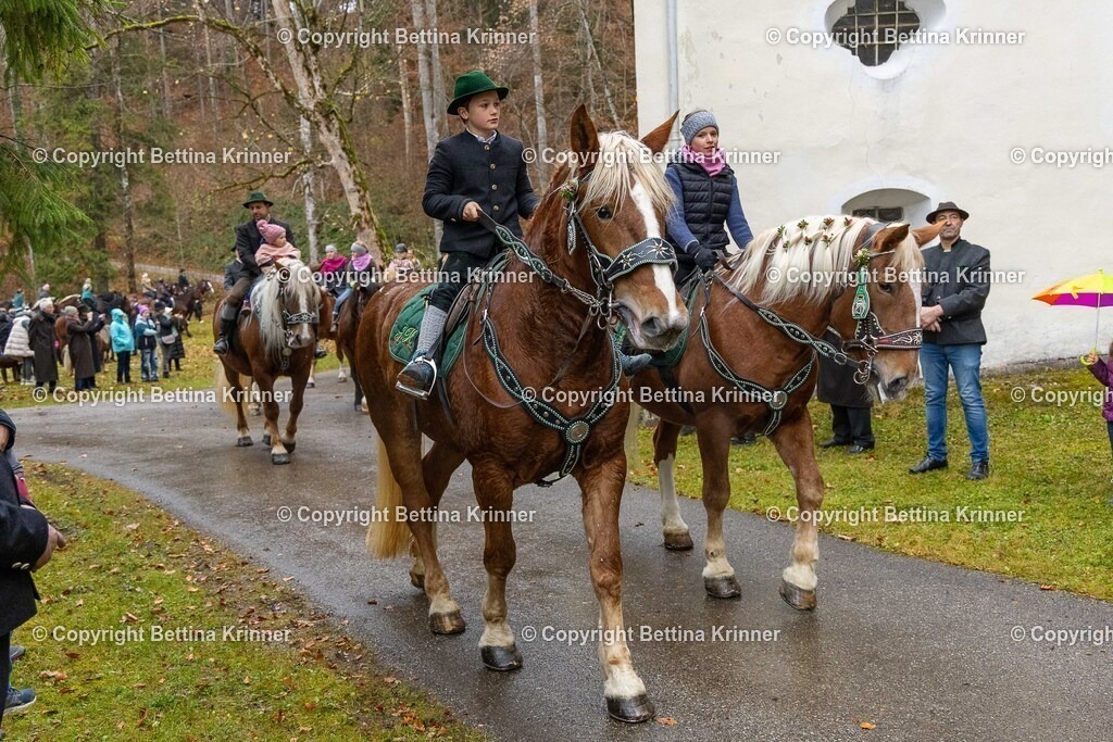 LL25-220 | foto-bettina-krinner - Realisiert mit Pictrs.com