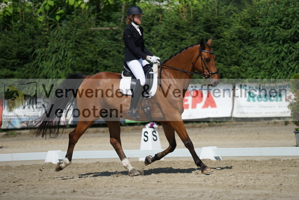 DSC01550 | equestrian-live-com