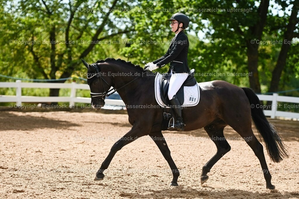 20230715_07_Dressurpferdeprfg. Kl.L_0180 | equistock