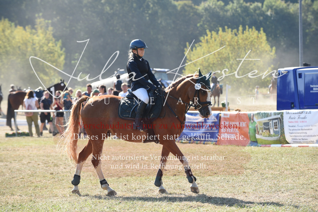 DSC_5989 | Pferde- und Turnierfotografie in Westsachsen. Pferdeportraits, Auftragszeichnungen und intuitive Kunst.