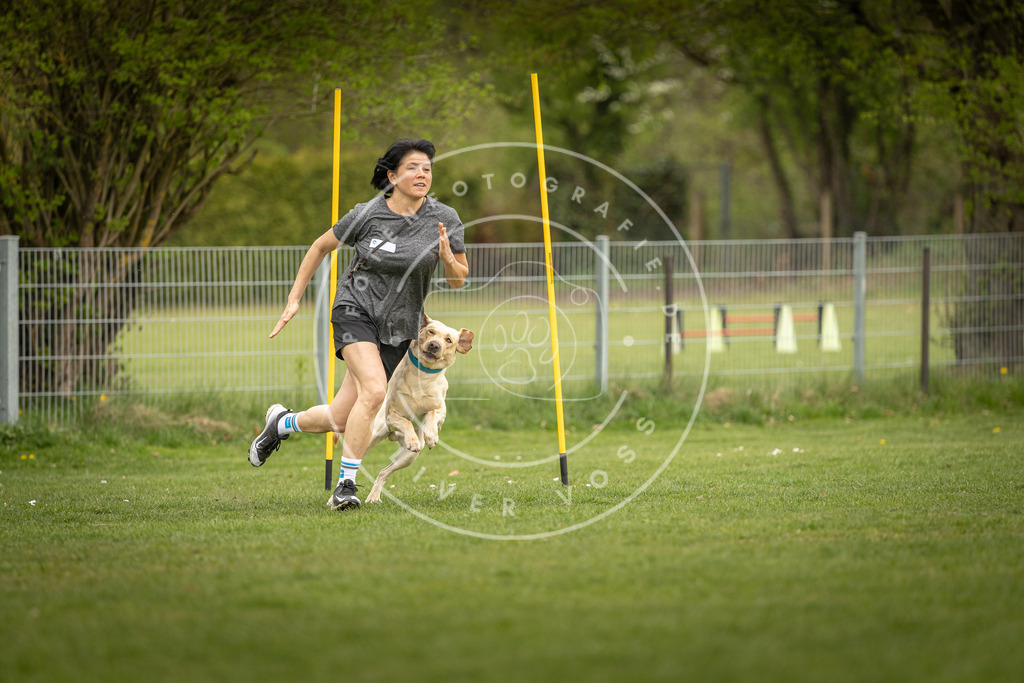 Pfotenfotografie_DV3A7913 | Hundefotografie, Tierfotograf, Pfotenfotografie, Fotoshooting Hund, Hunde Portrait, Hundesport, Hundeportraits, Heideshooting, Hunde, Sportfotograf, Hundefotograf, Turnierhundsport, THS,  - Realisiert mit Pictrs.com