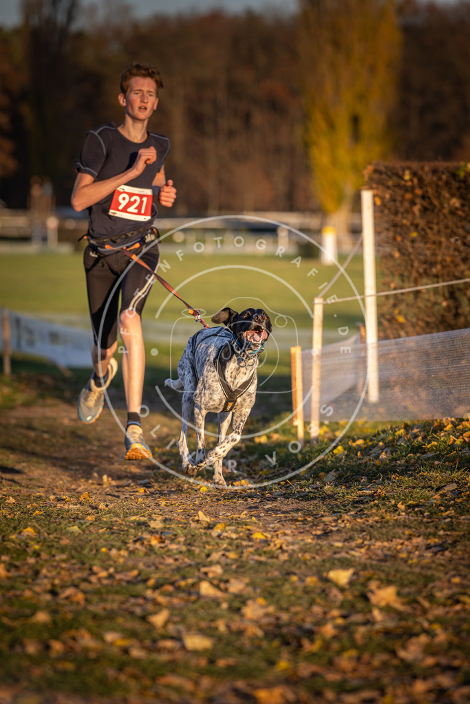 CaniXpix_DV3A4946 | Hundefotografie, Tierfotograf, Pfotenfotografie, Fotoshooting Hund, Hunde Portrait, Hundesport, Hundeportraits, Heideshooting, Hunde, Sportfotograf, Hundefotograf, Turnierhundsport, THS,  - Realisiert mit Pictrs.com