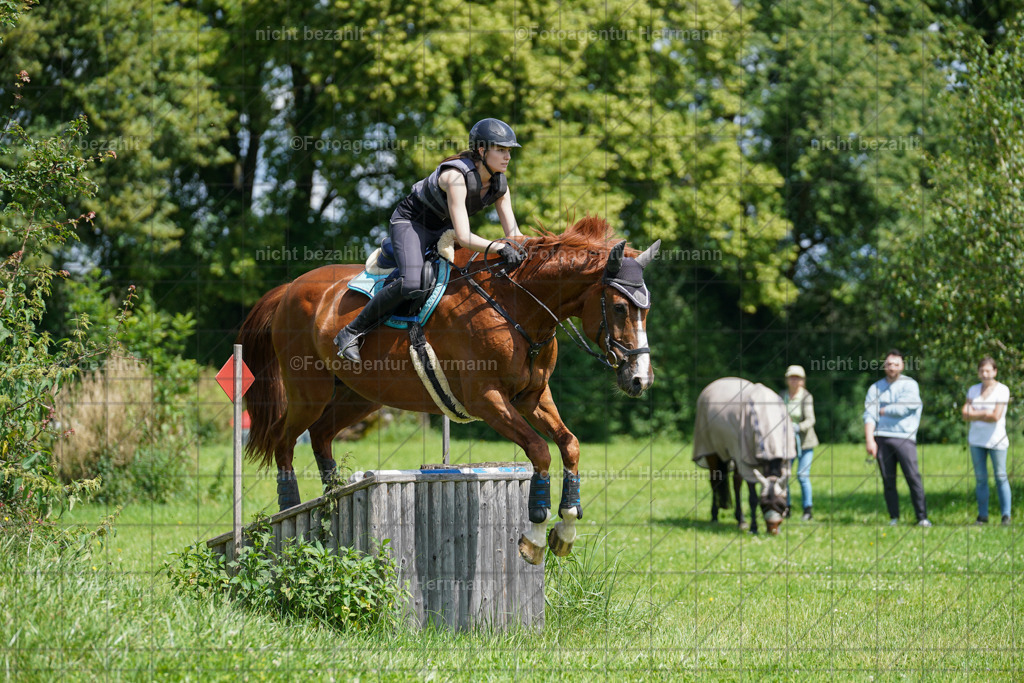 20240622-FAH06796 | Turnierfotografen Bayern, Reitsportbilder aus dem Geländekurs mit Felix Etzel auf dem Gut Waitzacker 2024