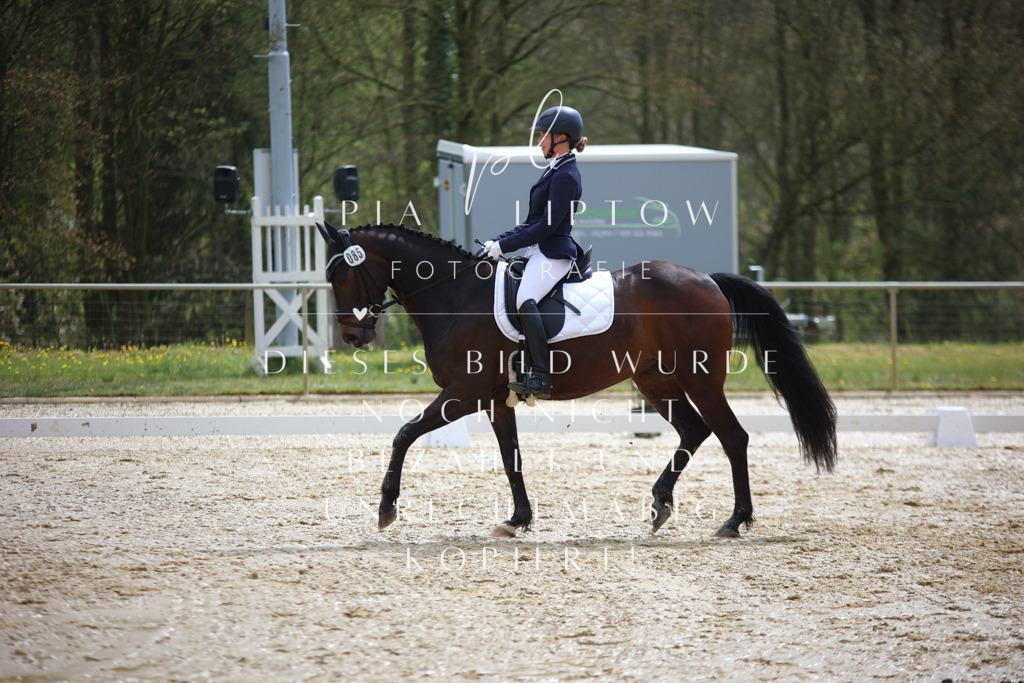 IMGT2629 | pl-fotografie