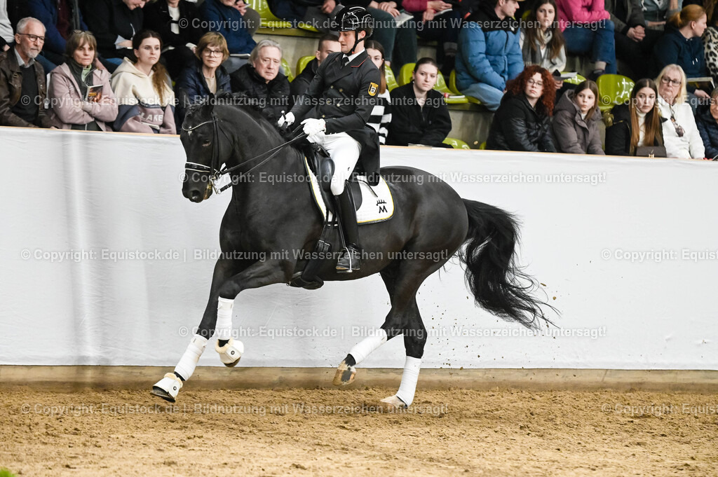 20260307_Hengstvorstellung-Marbach_0276 | equistock