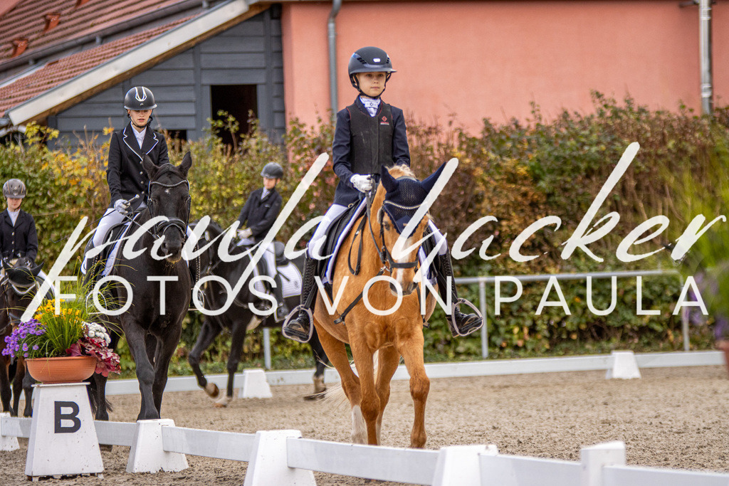 IMG_3638 | Erleben Sie dynamische Sport- und emotionale Tierfotografie in Süddeutschland mit Fotos von Paula. Spezialisiert auf Pferde- und Hundefotografie sowie Sportevents. Kontaktieren Sie mich für einzigartige und ausdrucksstarke Bilder Ihrer besonderen Momente.