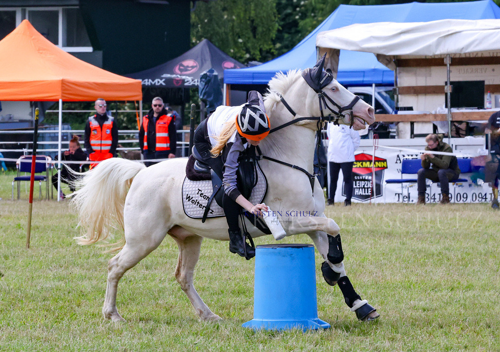 1B3A2433 | Reitsport Reiten