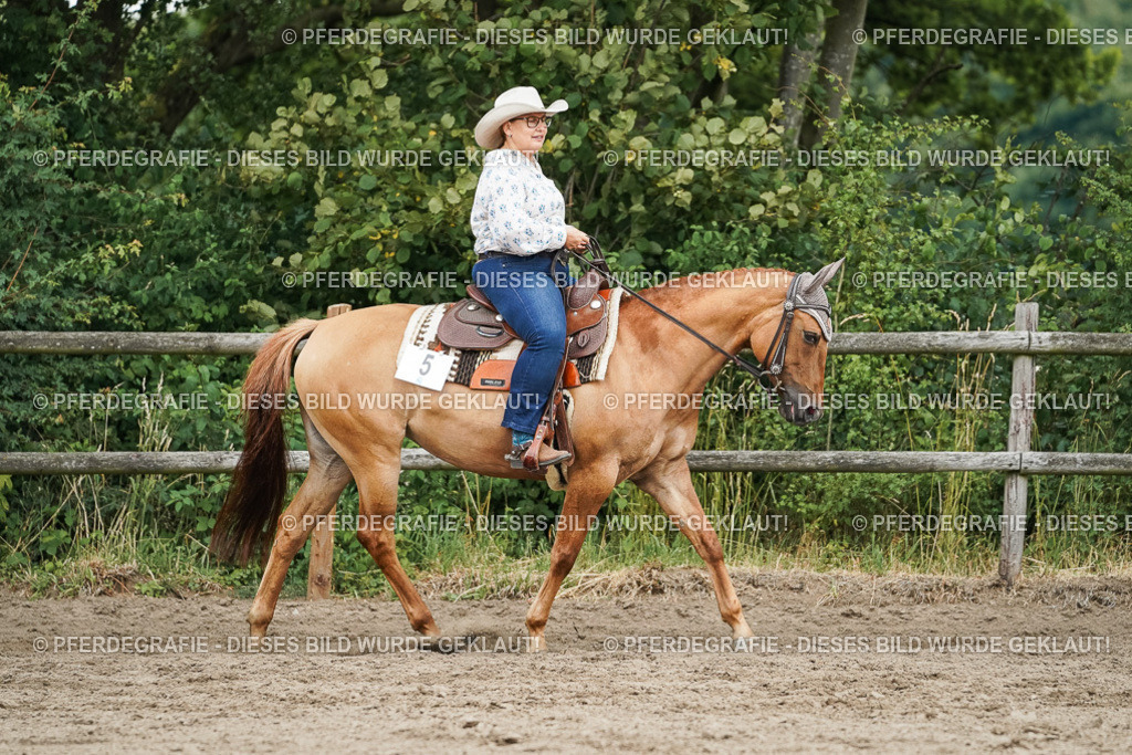 DSC04020 | Pferdegrafie