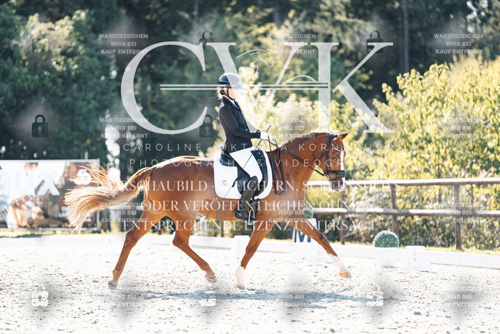 CK905996 | Turnierfotografie Pferdefotografie Trier Rheinland-Pfalz Pferdesport Reitsport Tierfotografie Sportfotografie Pferdevideo Pferdevideografie Equestrianvideography equestrianphotography  - Realisiert mit Pictrs.com