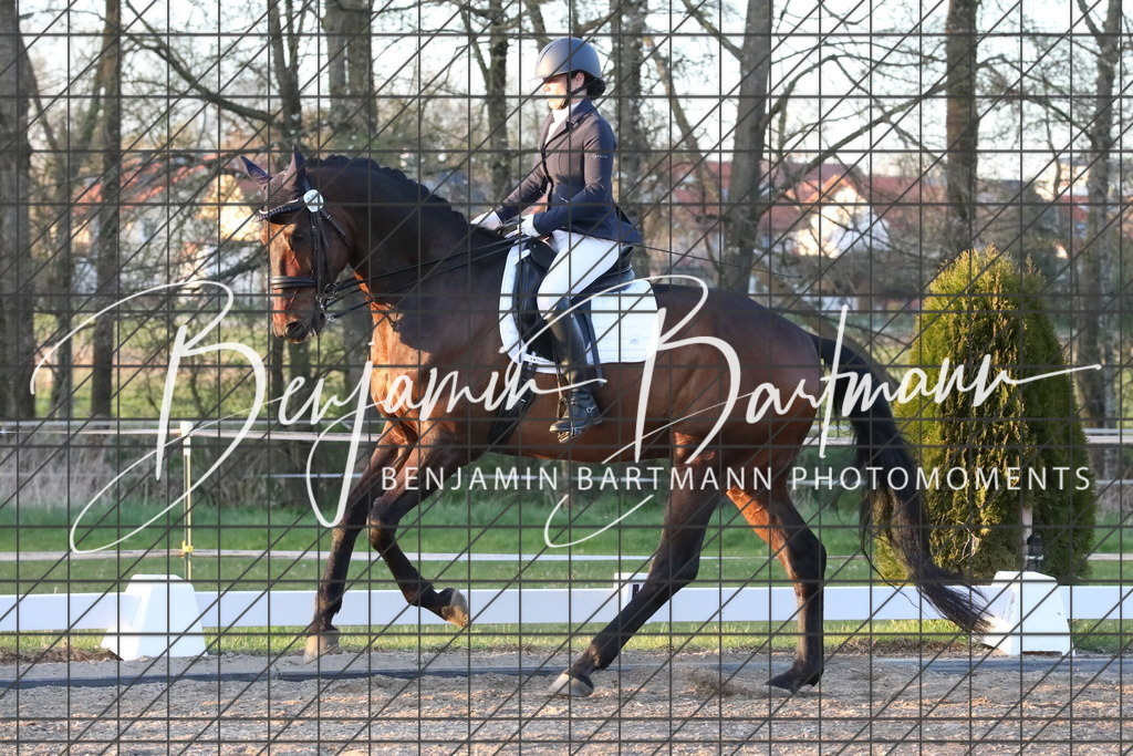 AZ2A5961 | Benjamin Bartmann Photomoments