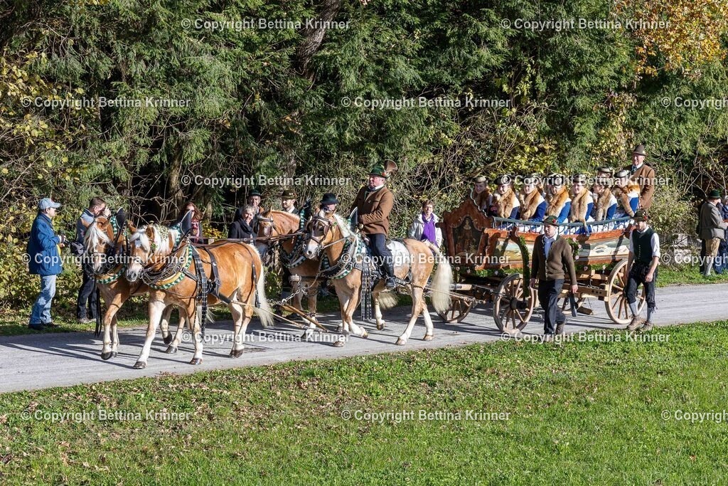 LBT24-639 | foto-bettina-krinner - Realisiert mit Pictrs.com