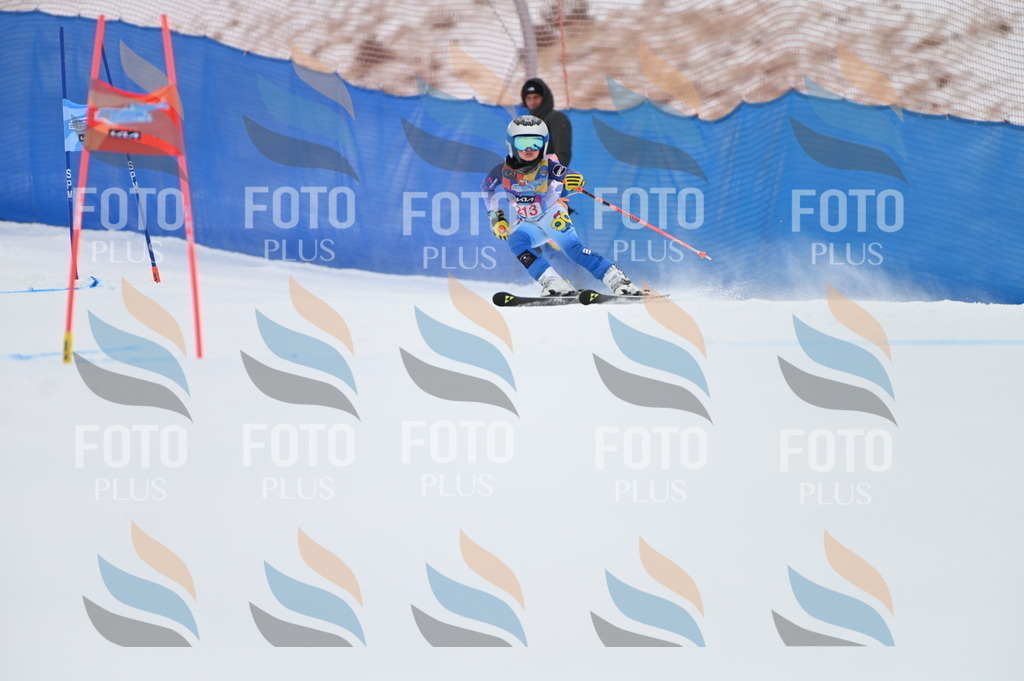 BGV_2563 | holidayphoto