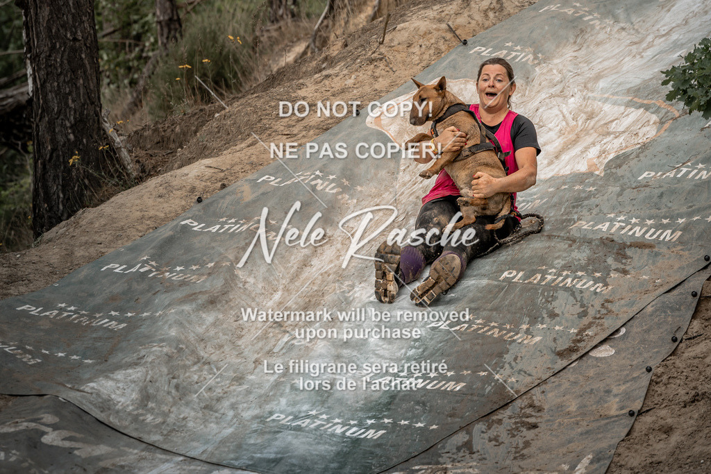 nelerasche_sa1430-1500_25 | nelerasche