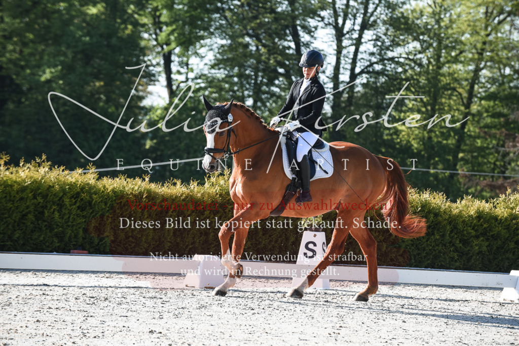 20230518_JK-Röhrsdorf-09-0425 | Pferde- und Turnierfotografie in Westsachsen. Pferdeportraits, Auftragszeichnungen und intuitive Kunst.