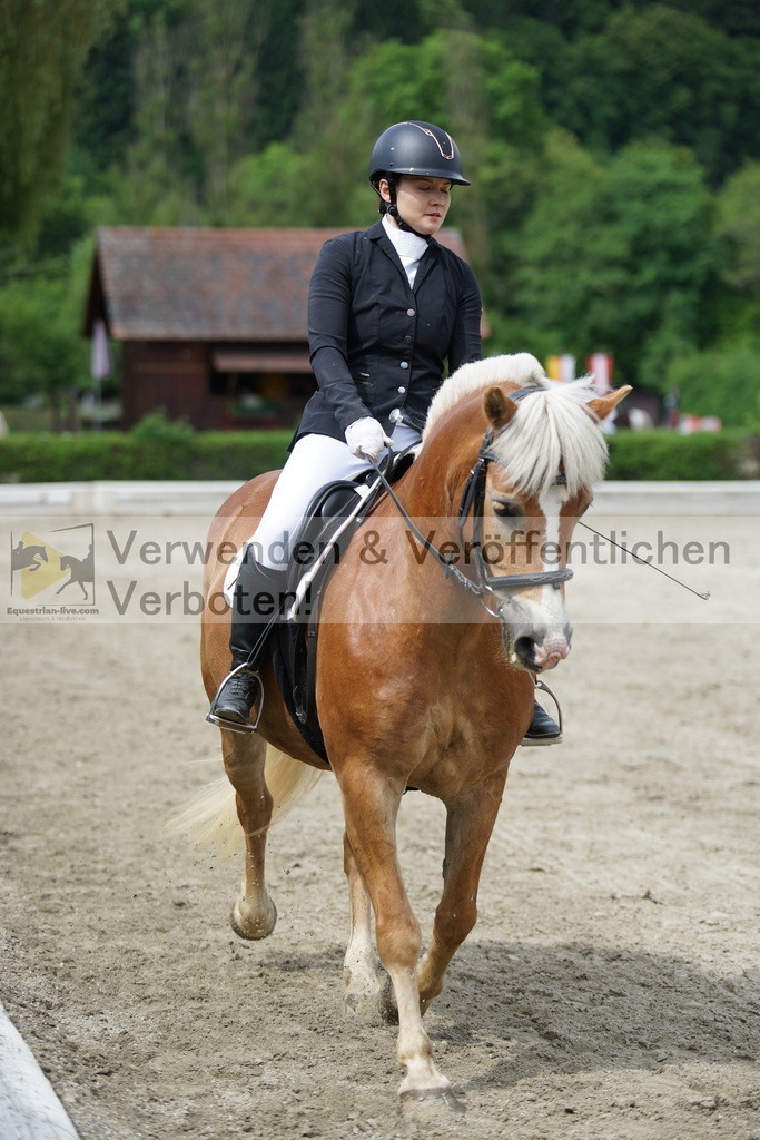 DSC04514 | equestrian-live-com