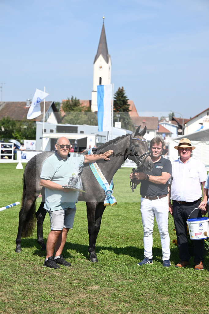 Kat-Nr. 28 nn v. Cayado_Sommer_34240625 | hf-fotografie - Realisiert mit Pictrs.com