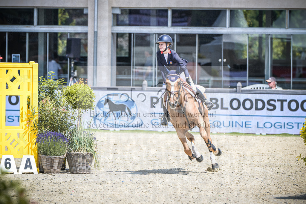 DOS_5268 | Entdecke hochwertige Reitturnierfotos von Foto Oger. Professionell, emotional und authentisch – jetzt Lieblingsmomente im Shop bestellen.Deutschlandweite Turnierfotografie. - Realisiert mit Pictrs.com