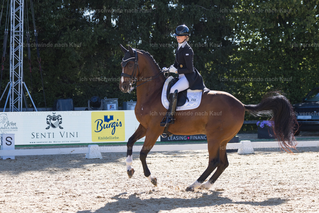 FHC2026_P07_80_17383 | working equitationturnier fotograf videograf stoibphotography marixx film working equitation deutschland reitsport turnierfotografie eventfotografie equestrian events