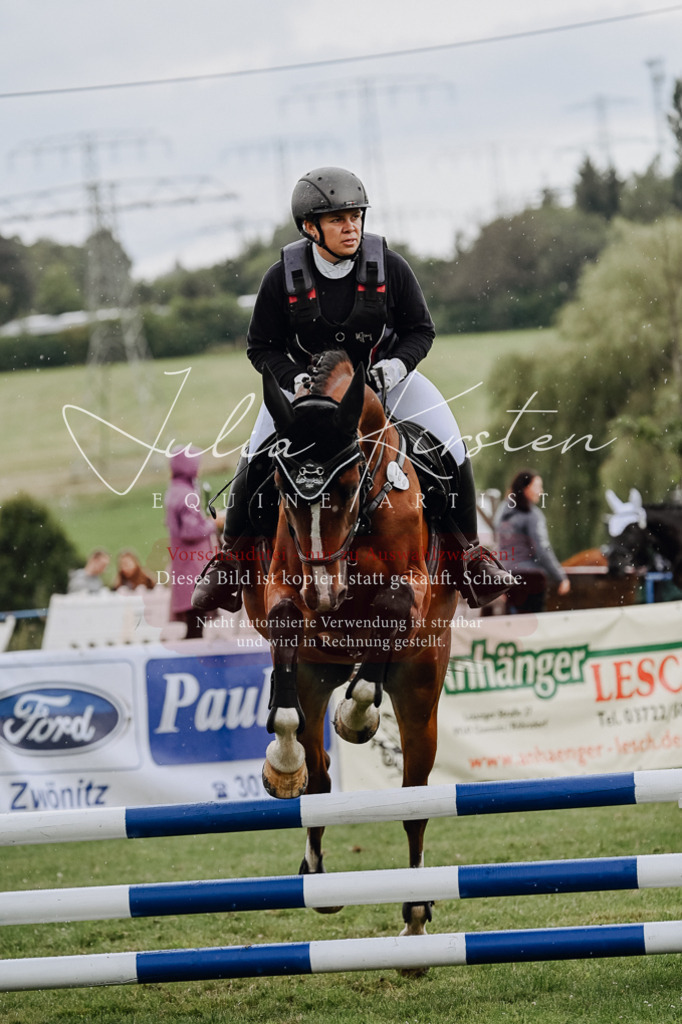 DSC_6906 | Pferde- und Turnierfotografie in Westsachsen. Pferdeportraits, Auftragszeichnungen und intuitive Kunst.
