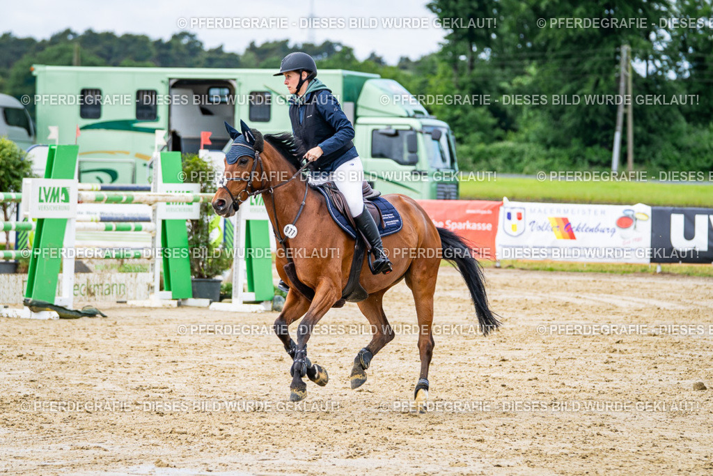 DSC03954 | Pferdegrafie