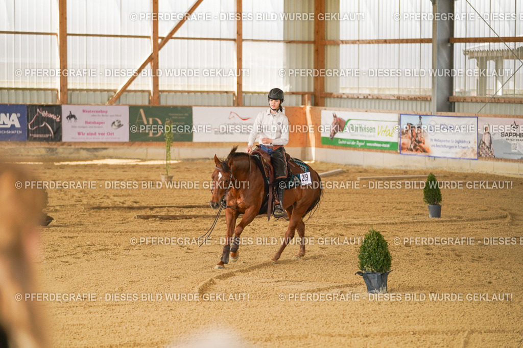 DSC05999 | Pferdegrafie