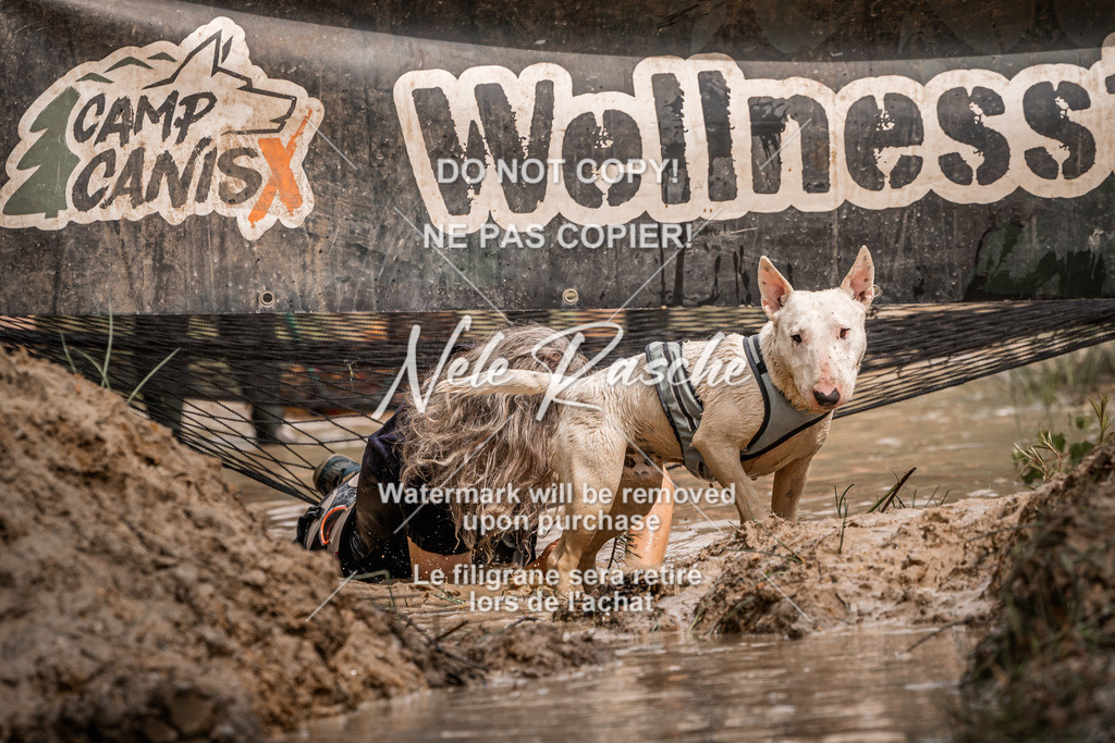 nelerasche_Hoope2026_Sa1030-1100_267 | nelerasche