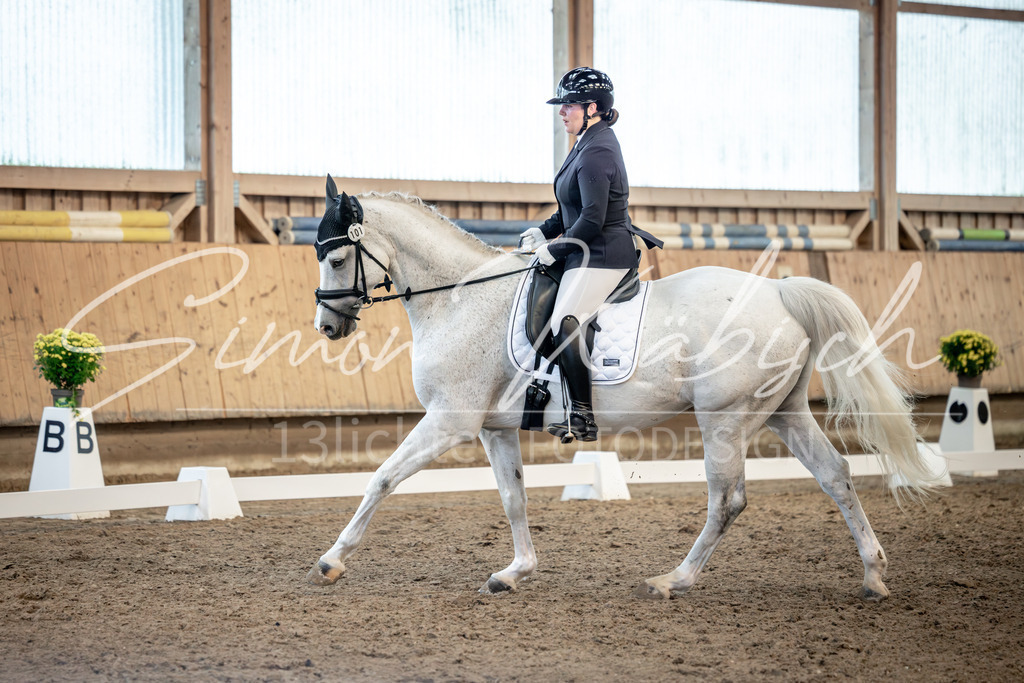 20251011-_3LI6323 | Tierfotografie Pferde, Hunde, Katzen, Haustiere.
Turnierfotografie Reitturniere, Reiten, Springreiten, Dressur in Hanau, dem Main-Kinzig-Kreis und dem Rhein-Main- Gebiet um Frankfurt