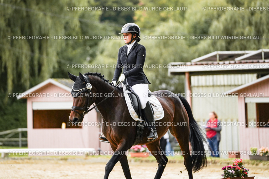 DSC07014 | Pferdegrafie