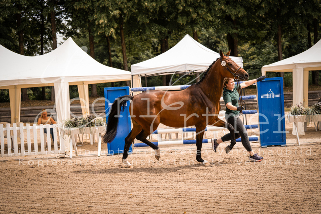 4.Fr00100 | Leoni Ertmer Photography - Realisiert mit Pictrs.com