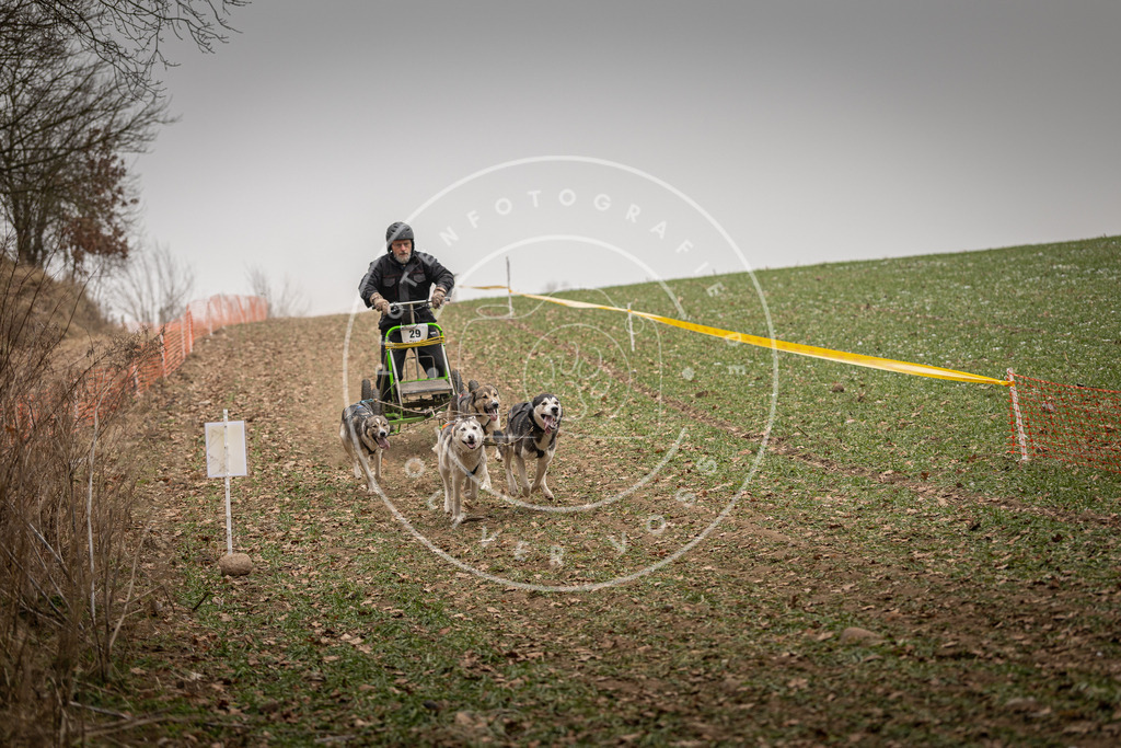 Pfotenfotografie_DV3A4451 | Hundefotografie, Tierfotograf, Pfotenfotografie, Fotoshooting Hund, Hunde Portrait, Hundesport, Hundeportraits, Heideshooting, Hunde, Sportfotograf, Hundefotograf, Turnierhundsport, THS,  - Realisiert mit Pictrs.com