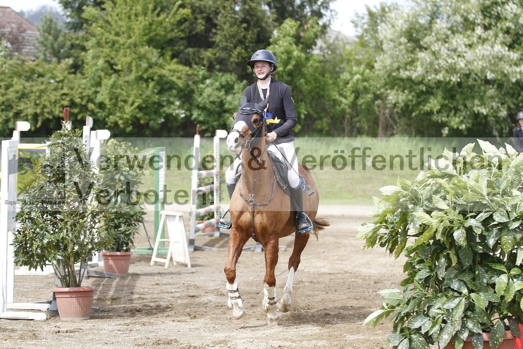 _MG_2666 | equestrian-live-com